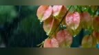 小雨＋气温下降