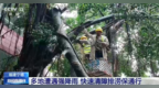 多地闻“风”而动积极应对“沙德尔”过境 切实保障人民群众生命财产安全