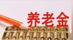 在黑龙江缴费43年，月领4135.58元，为何平均单价不足每年100元？