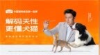 AI驱动数据赋能｜解码天性 更懂犬猫，麦富迪品牌升级发布会圆满落幕