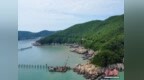 （乡村行·看振兴）浙江舟山桃花岛共富曲：民盟力量绘就海岛振兴图