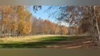 冰城公园“落叶缓扫”留住金秋美景！这份城市赏秋攻略快收藏