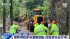 视频丨强降雨致多地道路受阻 浙江丽水抢险保通进行中