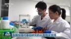 我国加强对基础研究的长期稳定支持