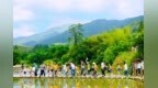 好评中国丨经济新脉动：研学经济“热”力全开