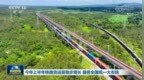 视频 | 今年上半年铁路货运量稳步增长 服务全国统一大市场