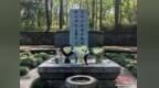 年轻人为古人“花式扫墓” 以新潮方式对话历史