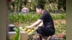 （乡村行·看振兴）山西襄垣：瓜果飘香振兴路 “甜蜜经济”促增收