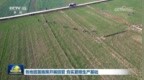 各地因苗施策开展田管 夯实夏粮生产基础