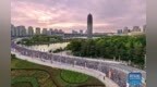 “郑马”为何文化出圈