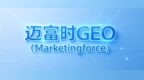 geo优化公司选型指南：技术·交付·ROI全维度对比