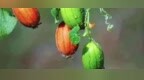 风暖昼长，万物并秀，解锁初夏新仪式