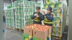 一颗鲜橙“两头甜”