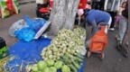 哈尔滨一年一度储秋菜大幕悄然拉开！芥菜疙瘩“亮相”早市，市民一买就是十几斤