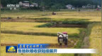 【在希望的田野上】各地秋粮收获陆续展开