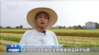 视频丨截至6月末 全国粮食重点领域贷款余额同比增15.81%