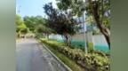 優化二龍喉公園生態環境 打造蝴蝶友善花園