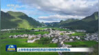 上半年农业农村经济运行保持稳中向好势头