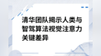 【网通社快报】清华团队揭示人类与智驾算法视觉注意力关键差异