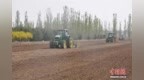 （乡村行·看振兴）雁门关外“种草记”：山西朔州盐碱地“长”出富民大产业