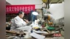 剧团走出的文物修复师：对话遗珍 “读”懂千年