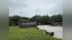 生态吉林｜北纬42°的植物宝库