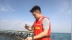 潮起海之南｜海南如何打造“蓝色粮仓”——从种源自主到深远海养殖的海南突围