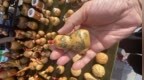 年轻人的创意与传统文玩相遇，道外老市集涌动新活力