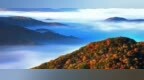 走进“森林氧吧”，尽享五花山色！双节假期，山野寻秋走起