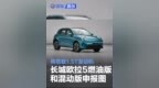 长城欧拉5燃油版和混动版申报图 将搭载1.5T发动机