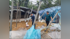 浙江灾后农业生产正加速恢复