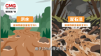 【你的平安 我的期待】遇山洪、泥石流如何科学避险→
