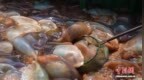 营口海蜇：从渤海湾“游”向世界的“软黄金”