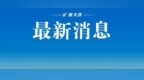 违规从事学科类培训，萨尔图区7人被通报