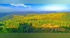 通往火山口国家森林公园维修路段十一假期恢复通车！打卡五花山限定秋色说走就走