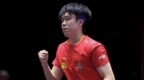 王楚钦能否追赶上马龙樊振东？球迷表示“仍有希望”，你怎么看？