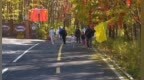 三条精品线路开启山野秋约，通河“天然大氧吧”醉游人
