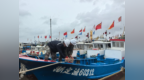 浙江广大党员干部迎战台风“白海豚” 风雨中筑起“红色堤坝”