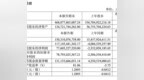 长鑫科技上半年营收1503亿元增超8倍，大摩等给予“增持”评级