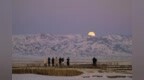 2026“星空剧场”拉开帷幕：超级月亮与流星雨共绘新年“浪漫”夜