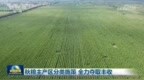 秋粮主产区分类施策 全力夺取丰收