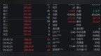 中塑股份上市首日股价冲上300元，中一签浮盈超12万