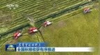 新闻联播｜【在希望的田野上】全国秋粮收获有序推进
