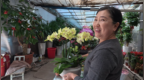 “过节了，送老妈一盆花！”花卉市场飘花香