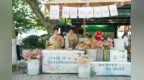 清爽一夏丨“绕郭荷花”今更盛，杭州兴起“荷花热”