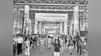 “中国机遇2.0”与“自贸区3.0”叠加：携手奔赴互利共赢的美好未来