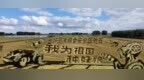 当好国家粮食安全压舱石，看绥化如何攥紧农业“芯”