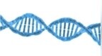 <em>Genome</em> Med：女性的怀孕时间或会改变胎儿机体的DNA