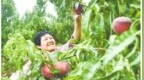 窗口｜乾坤未定，你我皆是黑马［《河北日报农村版·河北农民报》总第<em>4820</em>～4823期］