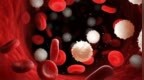 糖尿病、高血压、老年…，典型 <em>CML</em> 患者，如何选药？